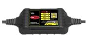 Obrázek Autonabíječka CarClever 6V & 12V/2A