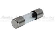 Obrázek Trubickova sklenena pojistka 20x5mm