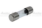 Obrázek Trubickova sklenena pojistka 20x5mm