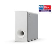Obrázek YAMAHA True X Sub 100A / SR-X100A LGH GR
