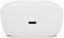 Obrázek z JBL Wave Buds2 White 