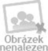 Obrázek SW-STAHL 25015L Spec.vypust.pripravek