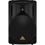 Obrázek z Behringer EUROLIVE B215D 