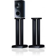 Obrázek Pioneer CP-81B-K