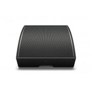 Obrázek BOSE AMM112 víceúčelový profesionální reproduktror