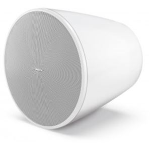 Obrázek z BOSE DesignMax DM10P-SUB Závěsný subwooferový reproduktor, bílý 