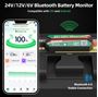 Obrázek z Bluetooth monitoring baterie CARCLEVER 6-24V 