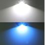 Obrázek z LED sufit (39mm) bílá, 12V, 2LED/CSP1860 CAN-Bus, bílá+modrá 