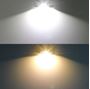 Obrázek z LED sufit (39mm) bílá, 12V, 2LED/CSP1860 CAN-Bus, bílá+teplá bílá 