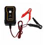 Obrázek z Kompaktní autonabíječka CARCLEVER 6V/1A & 12V/1A + 12V LifePO4 