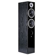 Obrázek WILSON RAPTOR 7 BLACK
