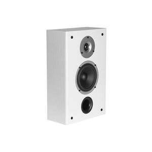 Obrázek z WILSON RAPTOR ON-WALL WHITE 