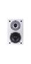 Obrázek z WILSON RAPTOR MINI WHITE 