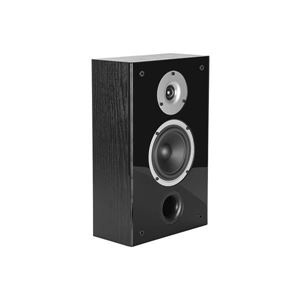 Obrázek z WILSON RAPTOR ON-WALL BLACK 