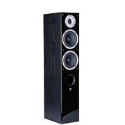 Obrázek WILSON RAPTOR 5 BLACK