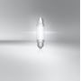 Obrázek z OSRAM LED 12V C5W 42mm SV8.5-8 bílá (1ks) blister 